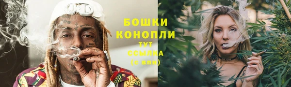 spice Арсеньев