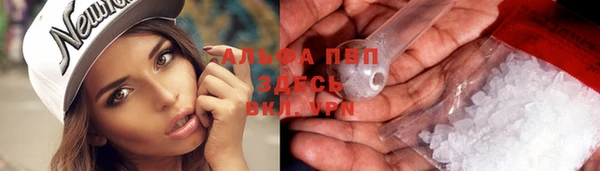 spice Арсеньев