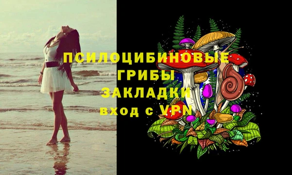 дживик Аркадак
