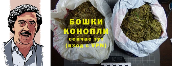 spice Арсеньев